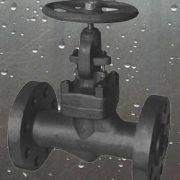 Forged Steel Globe valve