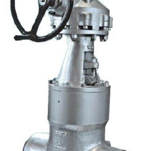 Pressure seal gate valve