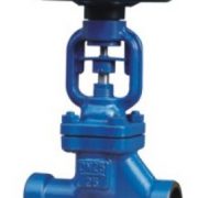 Forged bellow sealed  Globe valve