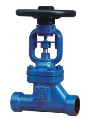 Forged bellow sealed  Globe valve