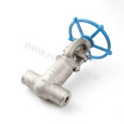 2500LB High pressure gate valve (1)