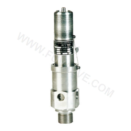 Air compressor safety valve (2)