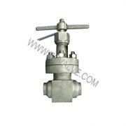 cryogenic globe valve (2)