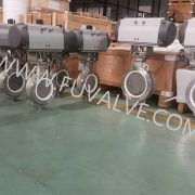 耐摩耗性ハードシールバタフライバルブ (2)