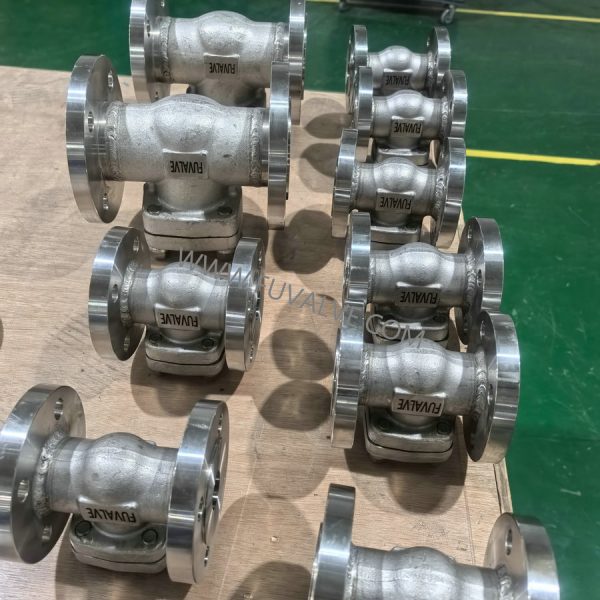 Ceramic check valve 1
