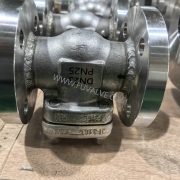 Ceramic check valve 2