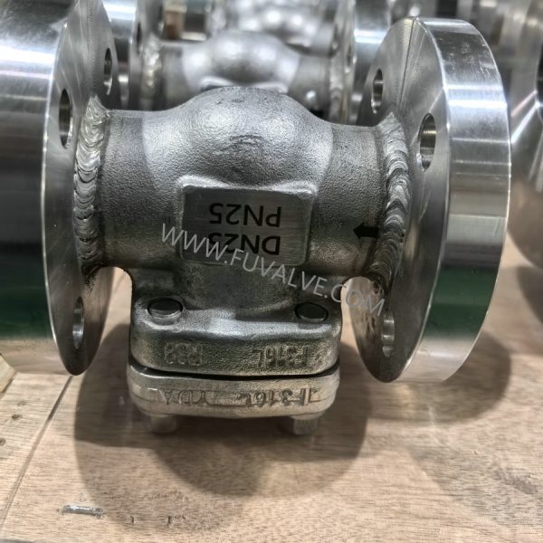 Ceramic check valve 2