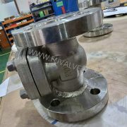 Ceramic check valve 3