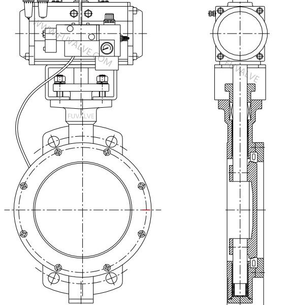 Pneumatic inflatable seated butterfly valve 1